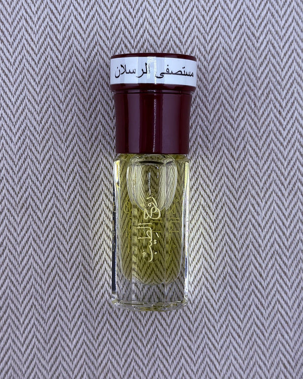 مستصفى الرسلان